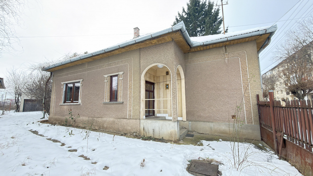 Proprietate cu 2 case | Teren 546 mp | Str. Albinelor Nr.18 - Carei