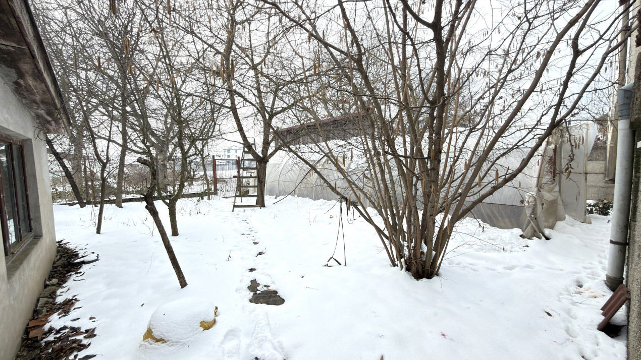 Proprietate cu 2 case | Teren 546 mp | Str. Albinelor Nr.18 - Carei