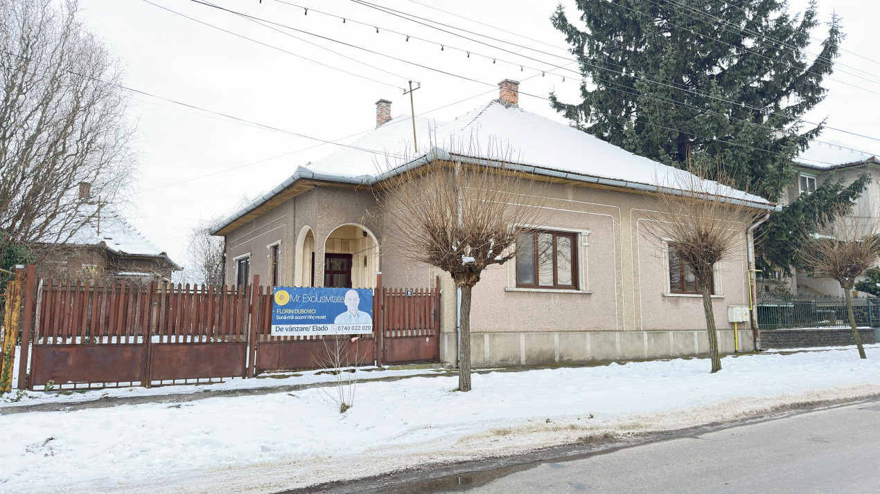 Proprietate cu 2 case | Teren 546 mp | Str. Albinelor Nr.18 - Carei