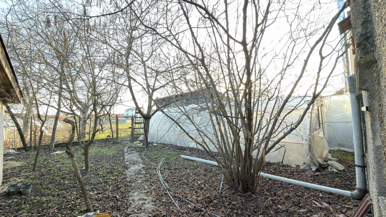 Proprietate cu 2 case | Teren 546 mp | Str. Albinelor Nr.18 - Carei