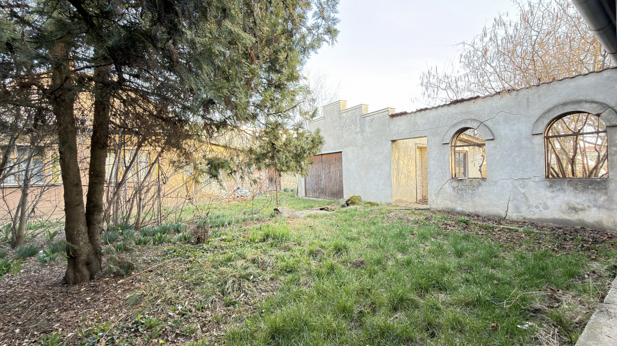 Proprietate cu 2 case | Teren 546 mp | Str. Albinelor Nr.18 - Carei