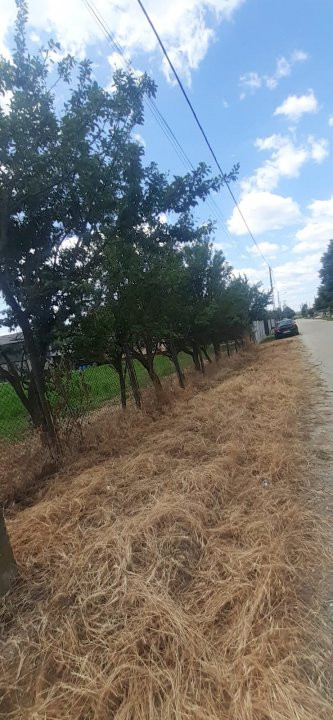 0% COMISION - TEREN GENEROS 2500 MP  GOLESTI - ARGES