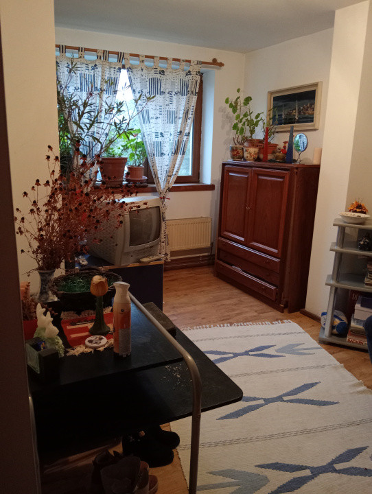 Casa 3 camere cu teren generos, 5808 mp, Pucioasa