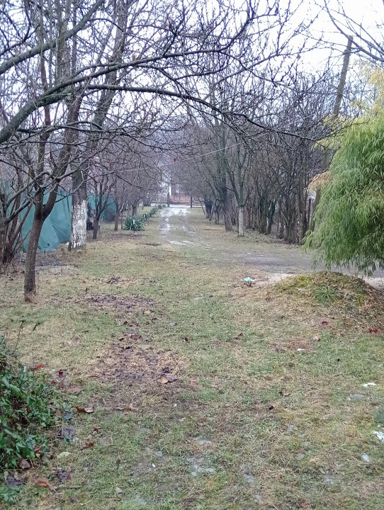 Casa 3 camere cu teren generos, 5808 mp, Pucioasa