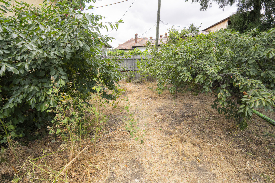 Demisol multifunctional central de inchiriat - zona Piata Mare