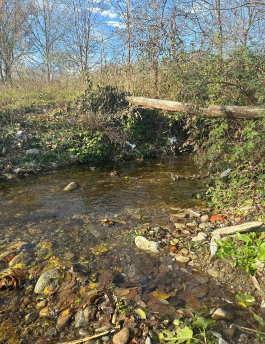 Teren mixt de vânzare Crasna- Gorj, aproape de Rânca– 19.209 mp