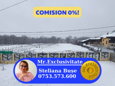 Teren mixt de vânzare Crasna Gorj, aproape de Rânca– 19.209 mp