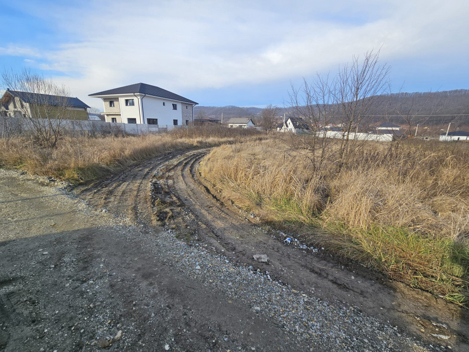 Teren 1.250 mp, toate utilitatile – Bascov, Valea Ursului, AG