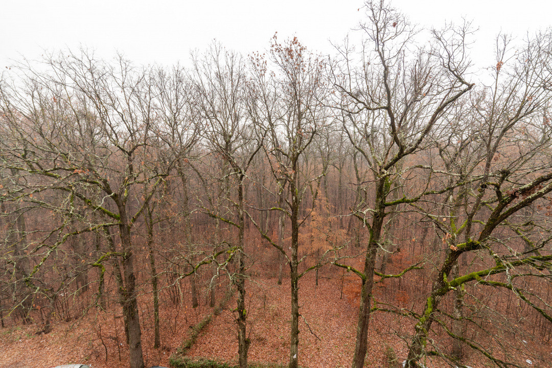 Apartament 2 camere, bloc 2014- rate fara dobanda direct la proprietar