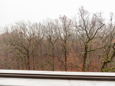 Studio 32mp, vedere panoramica- Victoriei, Titulescu