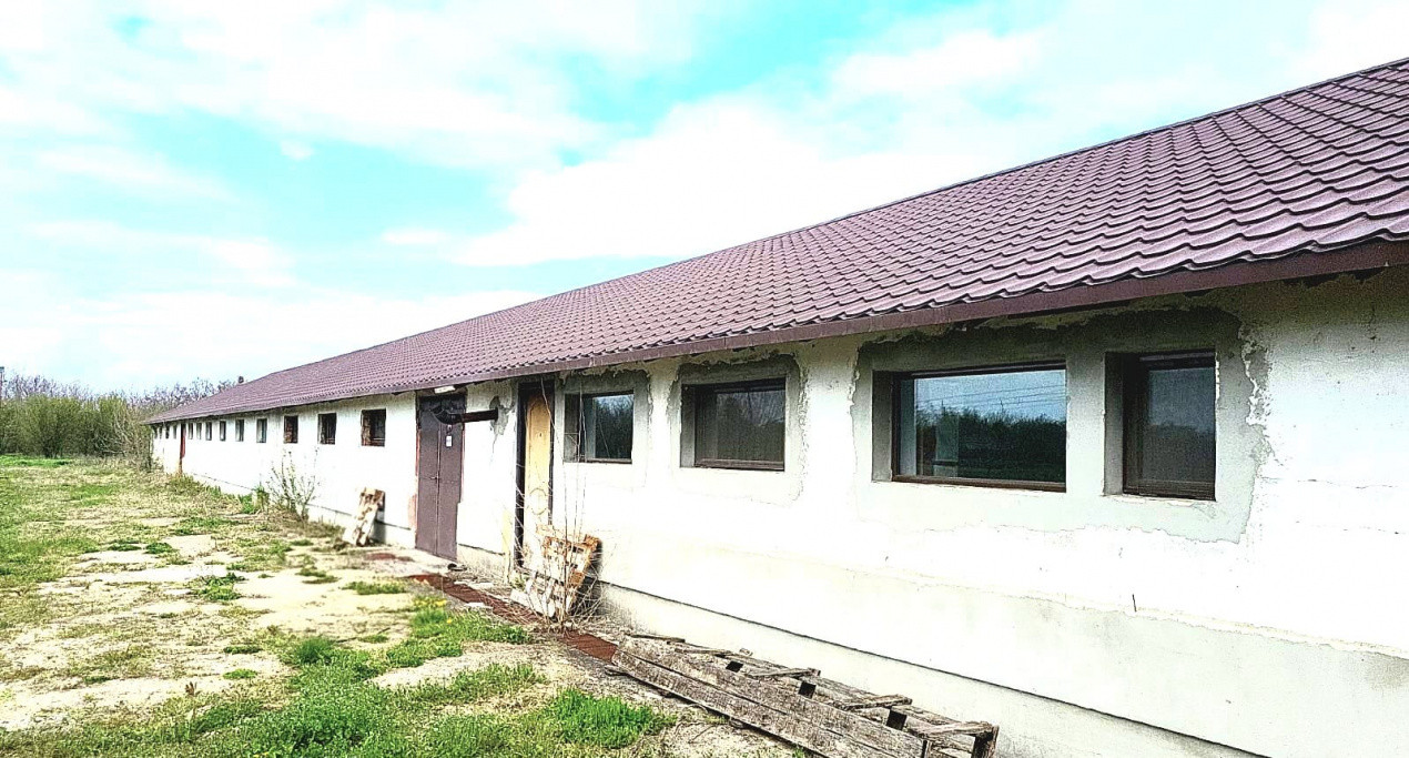 HALĂ INDUSTRIALĂ DE VÂNZARE – DB, CĂTUNU (TVA inclus)