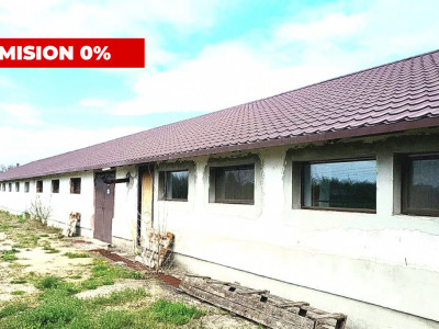 HALĂ INDUSTRIALĂ CU TEREN GENEROS  DE VÂNZARE – DB, CĂTUNU (TVA inclus)