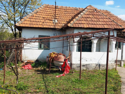 Casă cu hală industrială Drăguțești