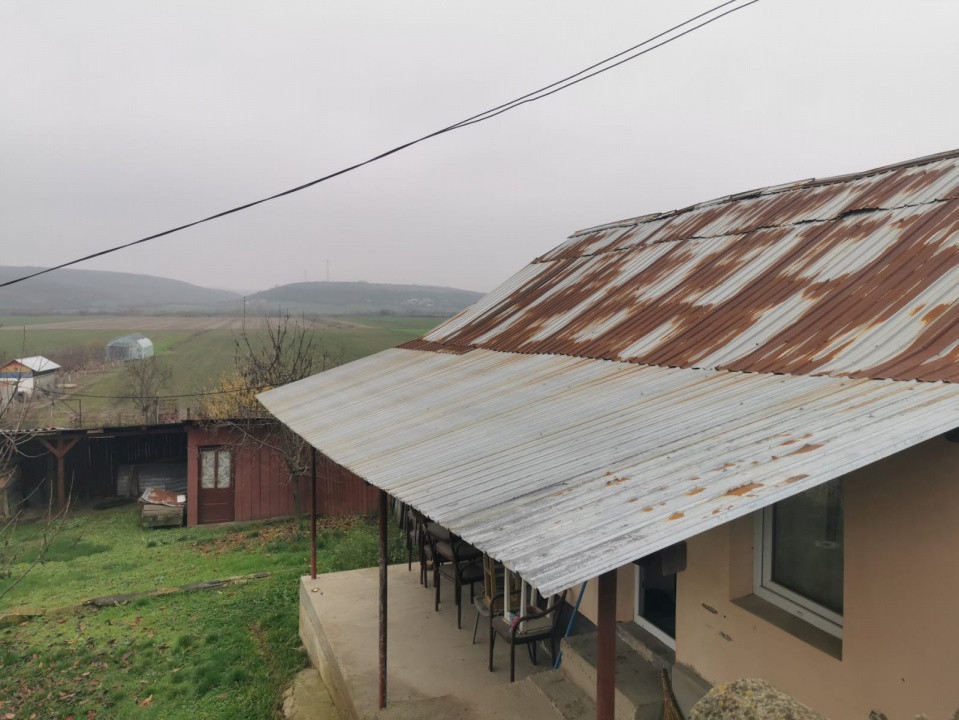 De vanzare casa in Argetoaia cu teren 7.000 mp