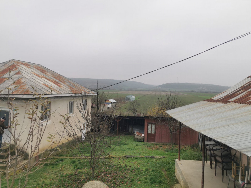 De vanzare casa in Argetoaia cu teren 7.000 mp