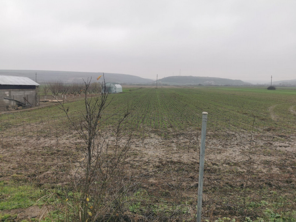 De vanzare casa in Argetoaia cu teren 7.000 mp