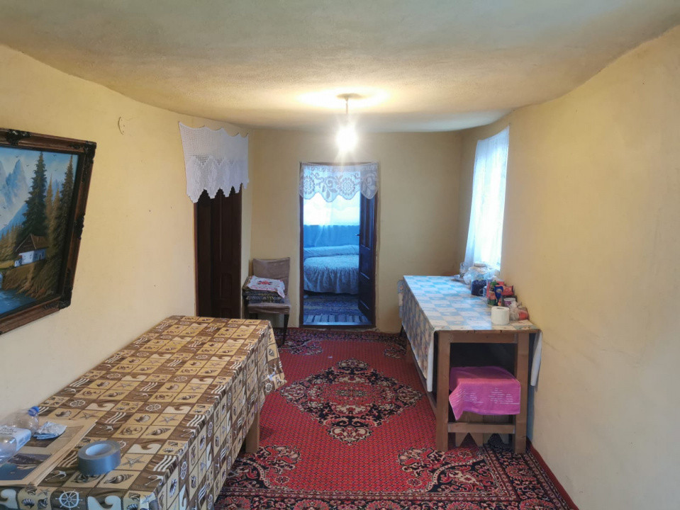 De vanzare casa in Argetoaia cu teren 7.000 mp