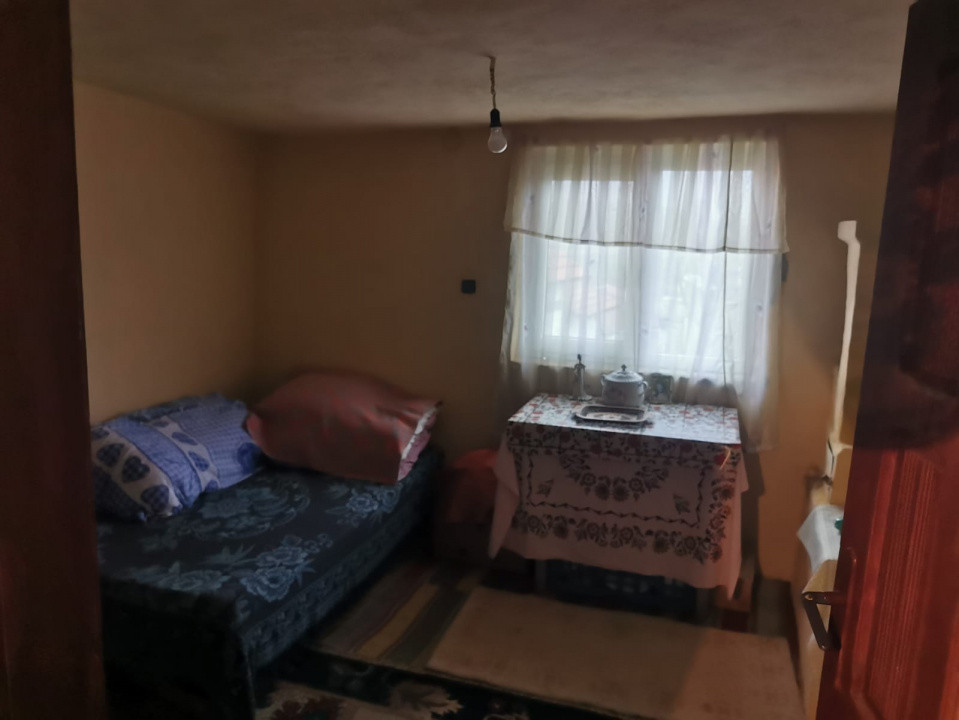 De vanzare casa in Argetoaia cu teren 7.000 mp