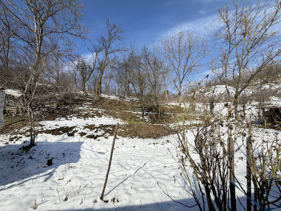 Casa Traditionala Priboieni Arges