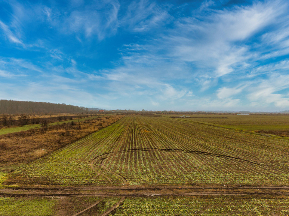 Teren intravilan 5040 mp, deschidere dubla