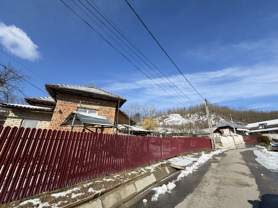 Casa Batraneasca la 8 km de Topoloveni