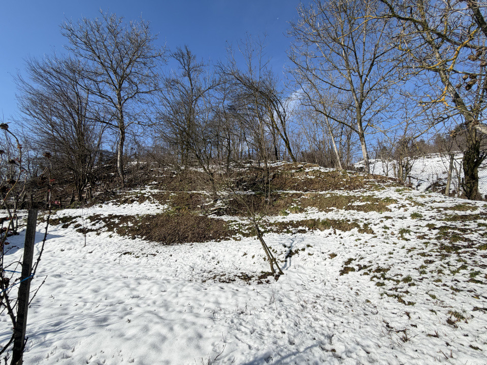 Casa Batraneasca la 8 km de Topoloveni