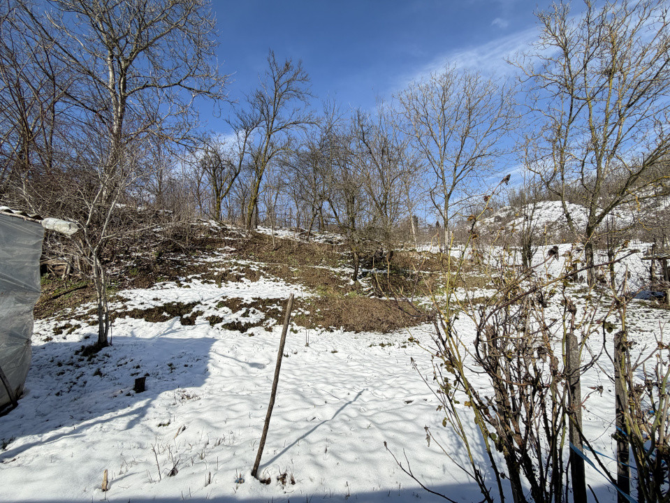 Casa Batraneasca la 8 km de Topoloveni