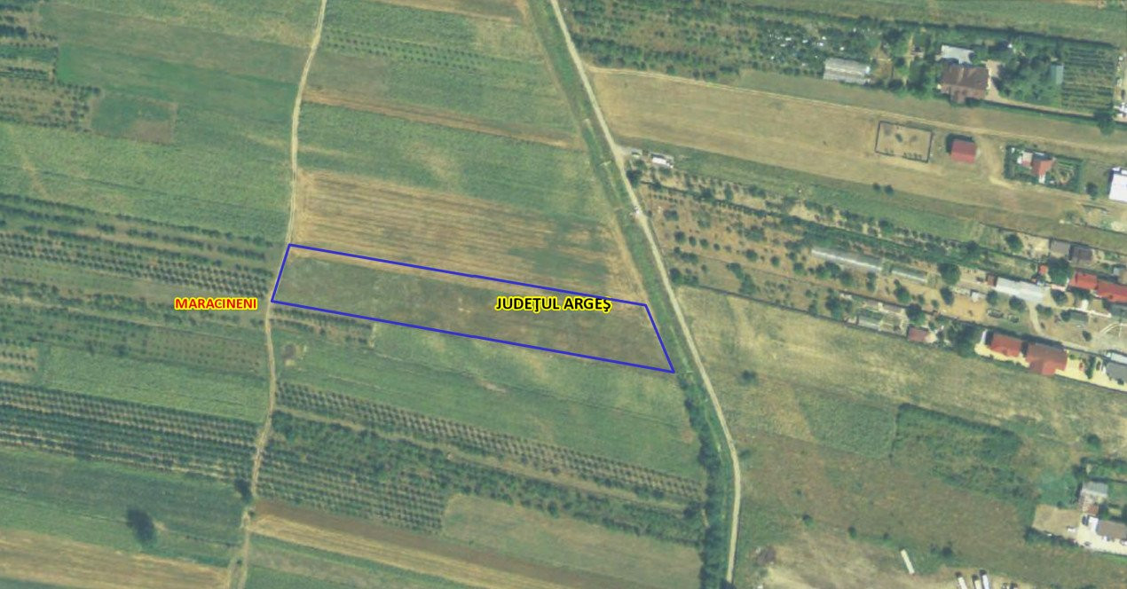 Teren intravilan 7.545 mp în Mărăcineni – ideal rezidențial sau hale
