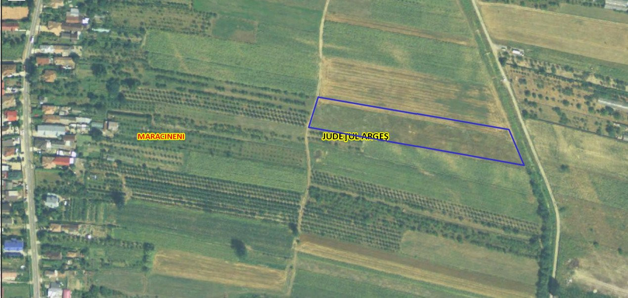 Teren intravilan 7.545 mp în Mărăcineni – ideal rezidențial sau hale
