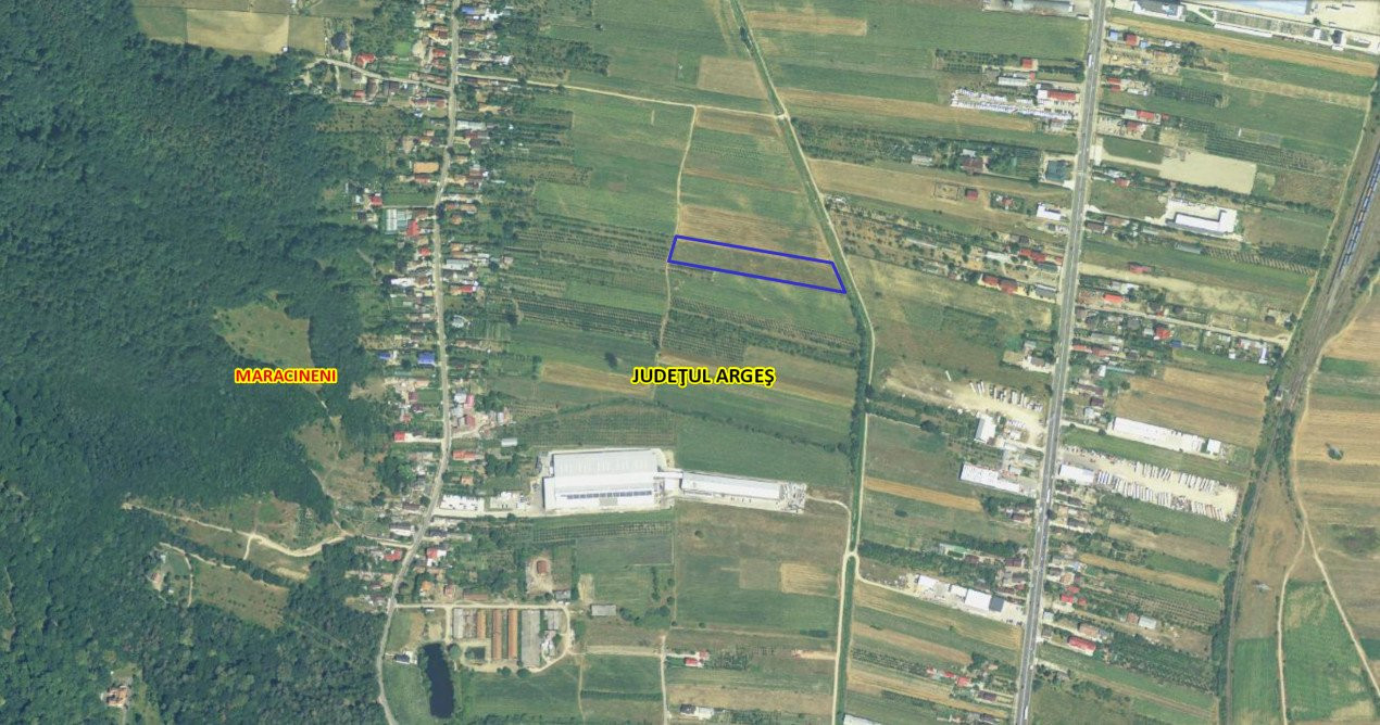 Teren intravilan 7.545 mp în Mărăcineni – ideal rezidențial sau hale