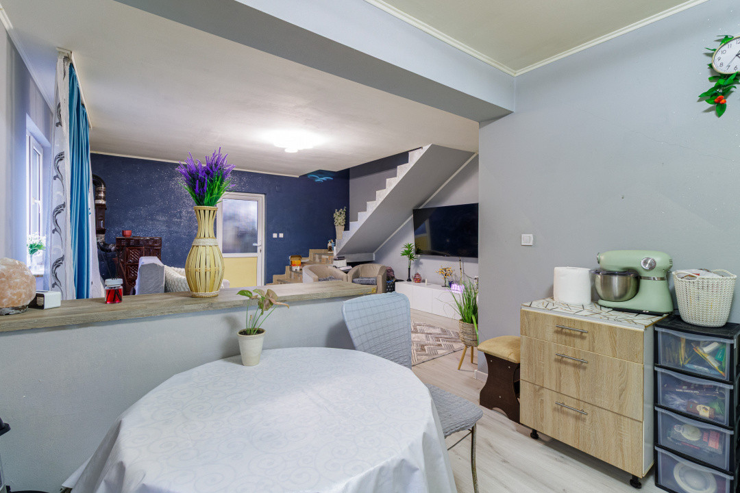 Casa 3 camere Dragomiresti principala 