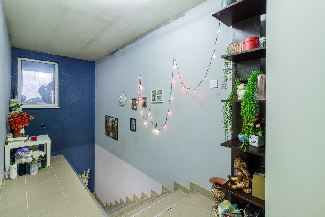 Casa 3 camere Dragomiresti principala 