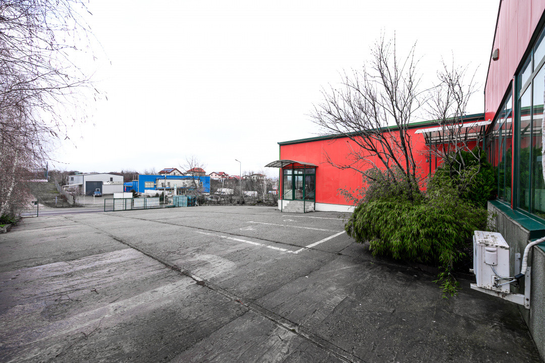 Hala industriala / spatiu comercial – VANZARE – DN 65B – Bradu-Pitesti!