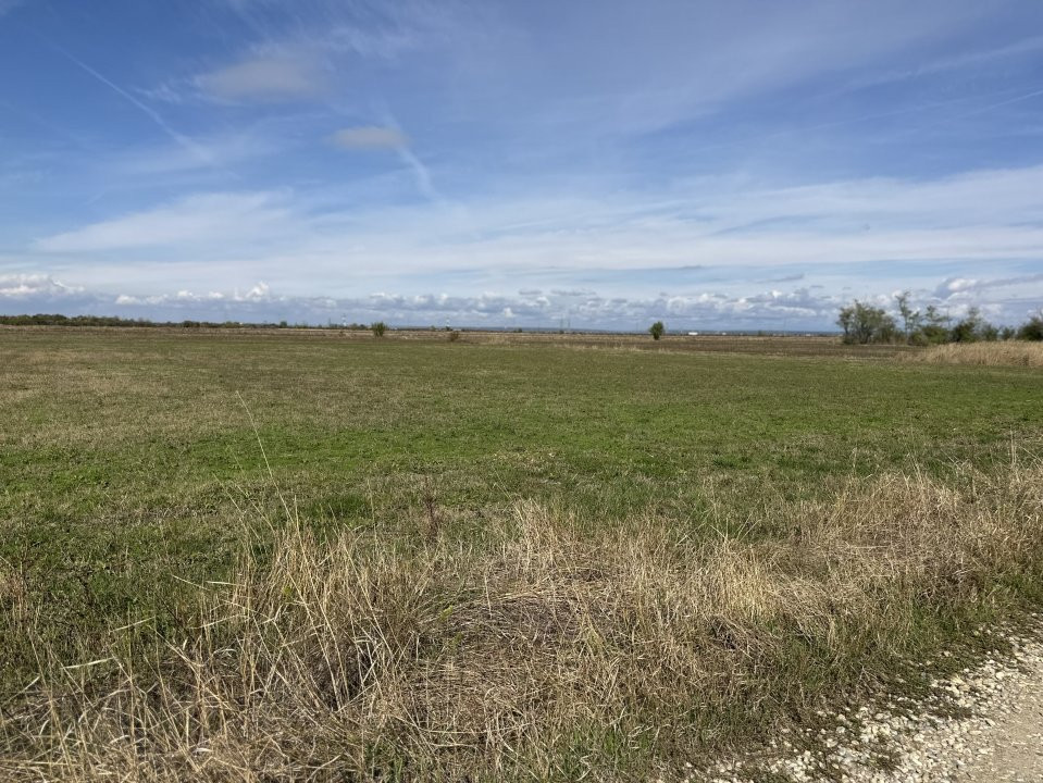 Teren intravilan 3700 mp la 28 km de Pitesti  - zona linistita