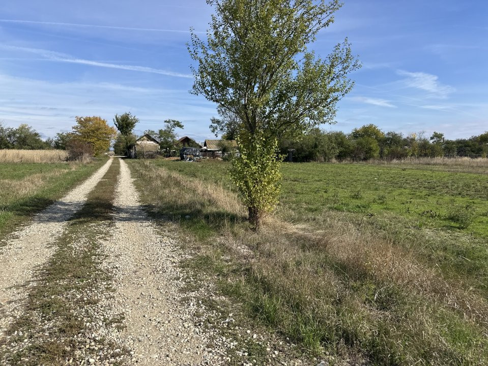 Teren intravilan 3700 mp la 28 km de Pitesti  - zona linistita