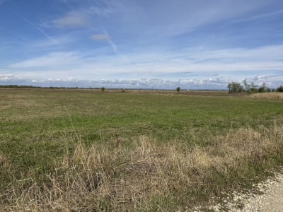 Teren intravilan 3700 mp la 28 km de Pitesti  - zona linistita