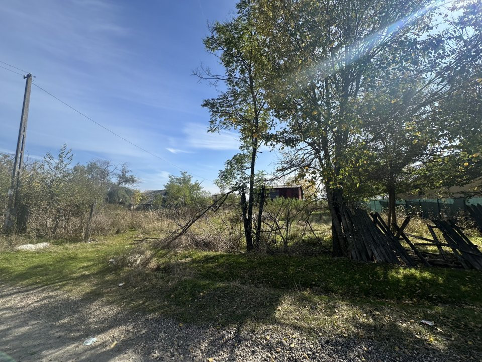 Teren 5216 mp la 2 pasi de autostrada A1 