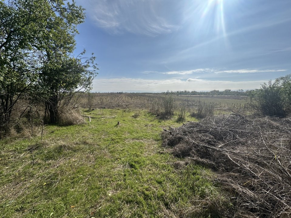 Teren 5216 mp la 2 pasi de autostrada A1 