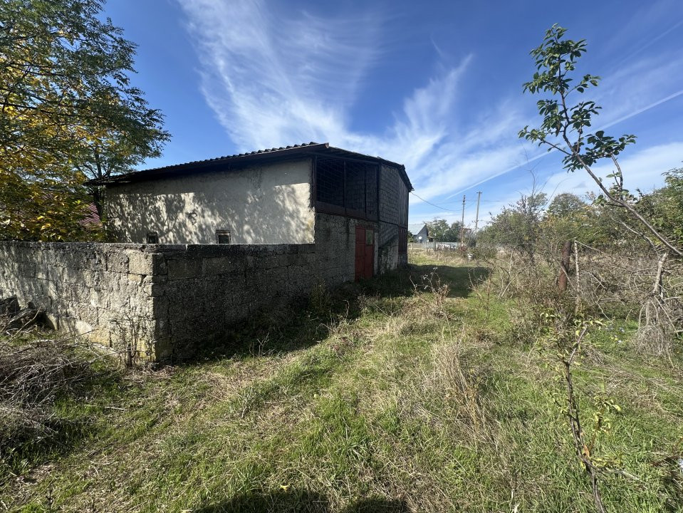 Teren 5216 mp la 2 pasi de autostrada A1 