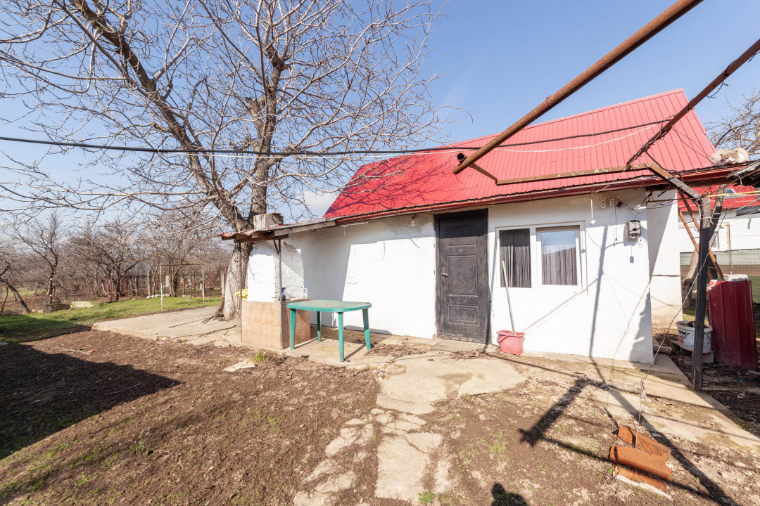 Casa parter + 3.055 mp teren in Costesti