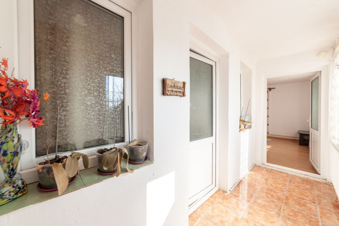 Casa parter + 3.055 mp teren in Costesti