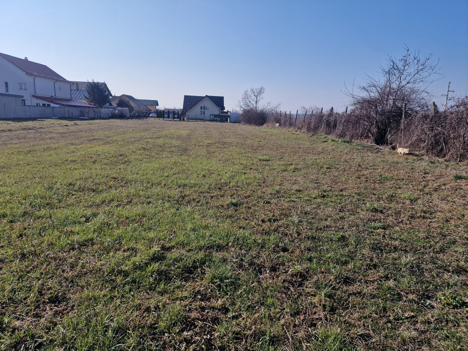 Teren intravilan Argeselu!