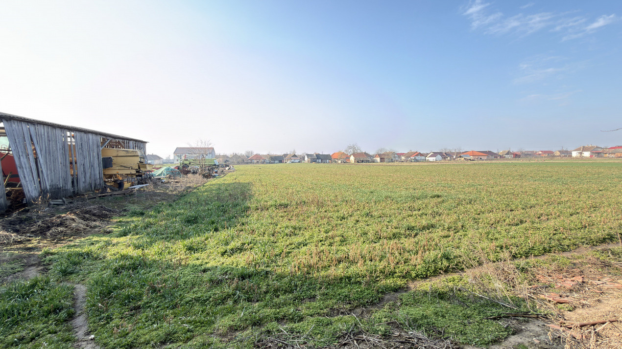 Casă 4 camere, Teren 2.948 mp Tiream SM - Comision 0% cumpărător