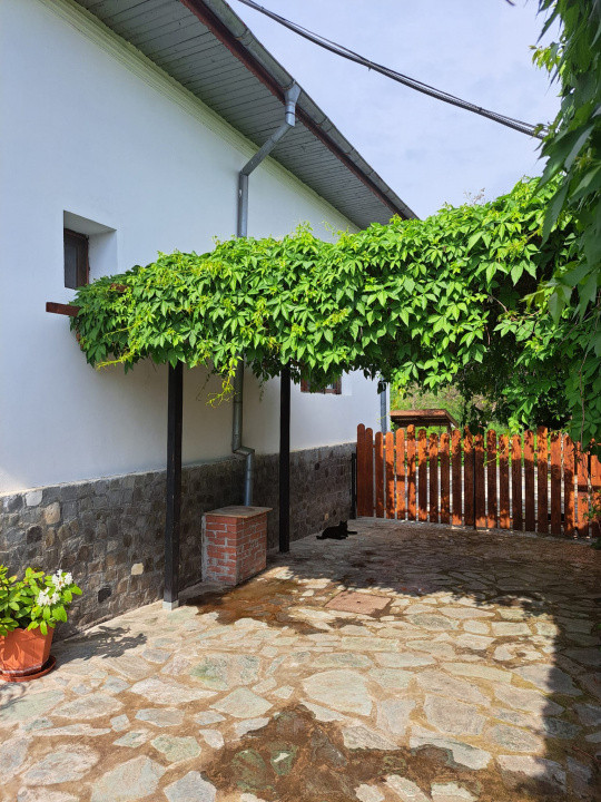 Proprietate de excepție în Lelești – la doar 8 km de Târgu Jiu