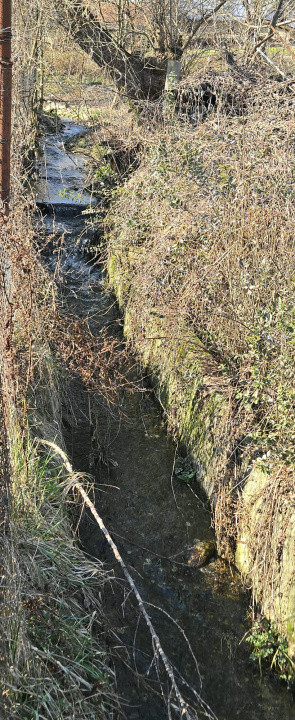 Proprietate de excepție în Lelești – la doar 8 km de Târgu Jiu