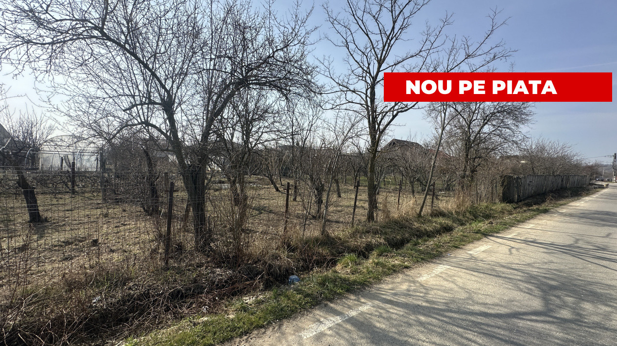 Teren 800 mp intravilan str. Olteni, Mosoaia, Arges