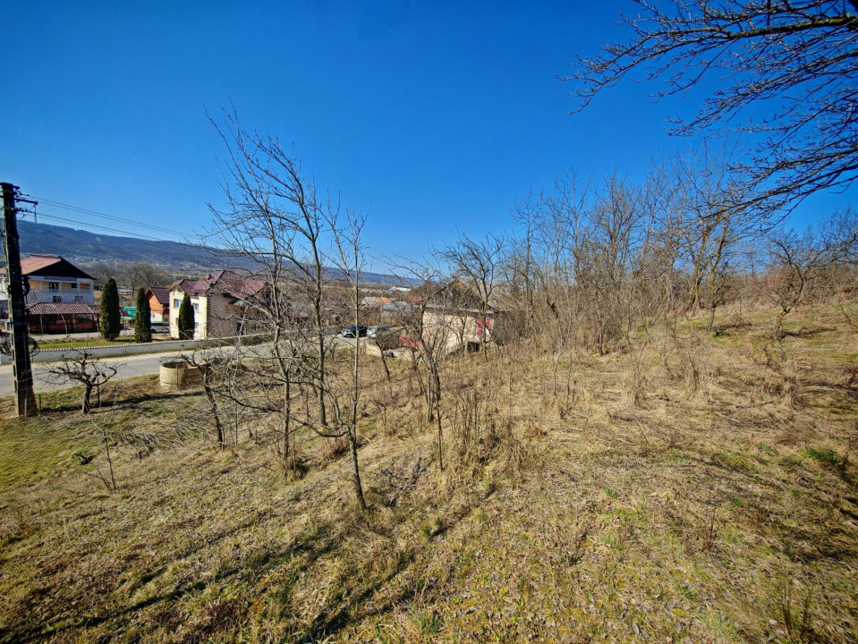 Casă cu teren generos în Dârmănești, Argeș-ideală pentru locuința sau afacere 