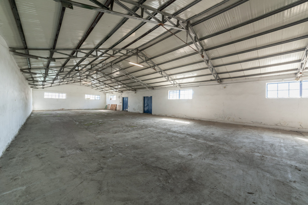 Hale & Birouri Mărăcineni - 1.294 mp - Deschidere la DN