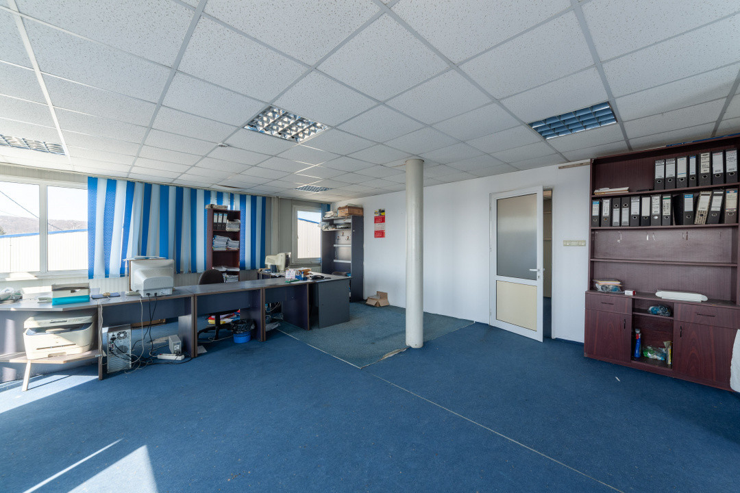 Hale & Birouri Mărăcineni - 1.294 mp - Deschidere la DN