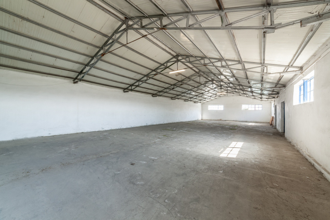 Hale & Birouri Mărăcineni - 1.294 mp - Deschidere la DN